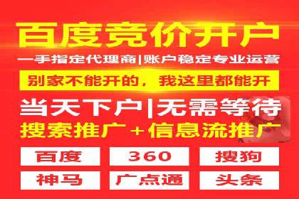 探索sem代运营公司成功案例的共同点